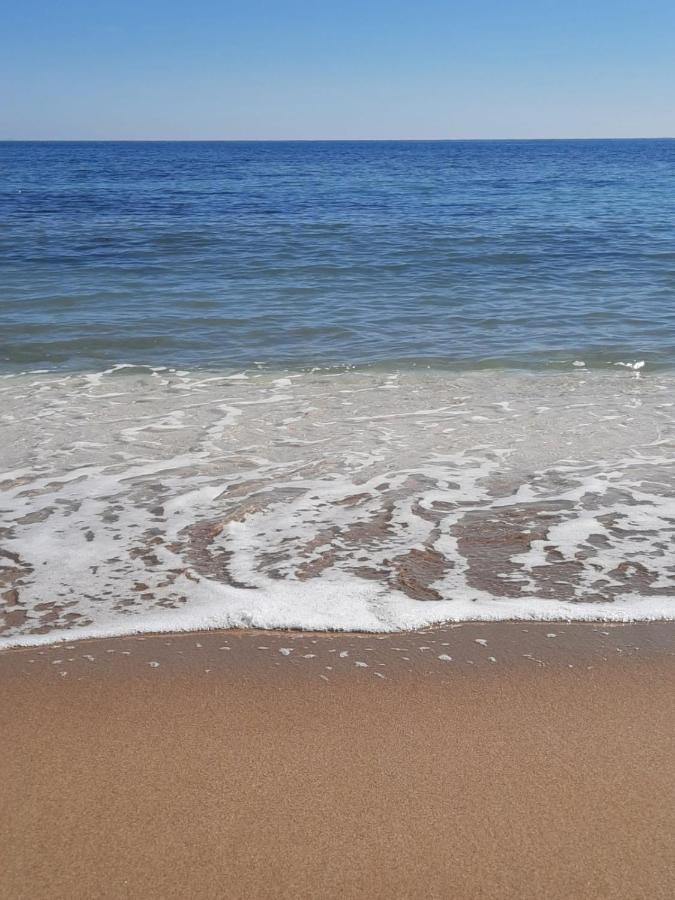 Студия На Белоснежном Пляже Los Locos Torrevieja Exteriör bild